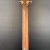 Taylor 326e Baritone-8 LTD Blackwood 8 String Acoustic - Image 11