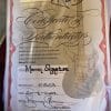 Burns Hank Marvin Signature ’64 / 40th Anniv. Reissue (2004) - Image 19